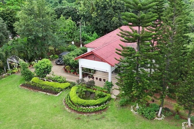 Guwahati Tea Garden tour @ Amchong - Is This Tour Right for You?