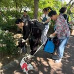 Gwangju Pet Plogging Tour (4 hours) - The Itinerary in Detail