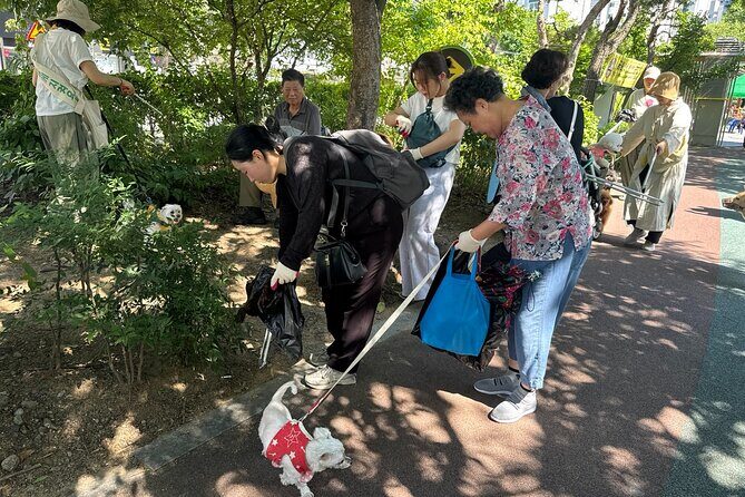 Gwangju Pet Plogging Tour (4 hours) - The Itinerary in Detail