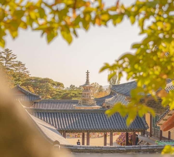 Gyeongju: Private Car Tour with a Licensed Tour Guide - Why This Tour Offers Real Value