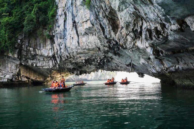 Ha Long Bay Cruise - Swimming, Meal, Kayaking In 1 Day - A Comprehensive Look at the Ha Long Bay Day Cruise