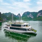 Ha Long Bay Luxury Day Cruise with Buffet Lunch, Caves & Kayaking - Dining and Refreshments