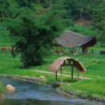 Hainan: A private day trip to Wuzhishan - Why This Tour Offers Real Value