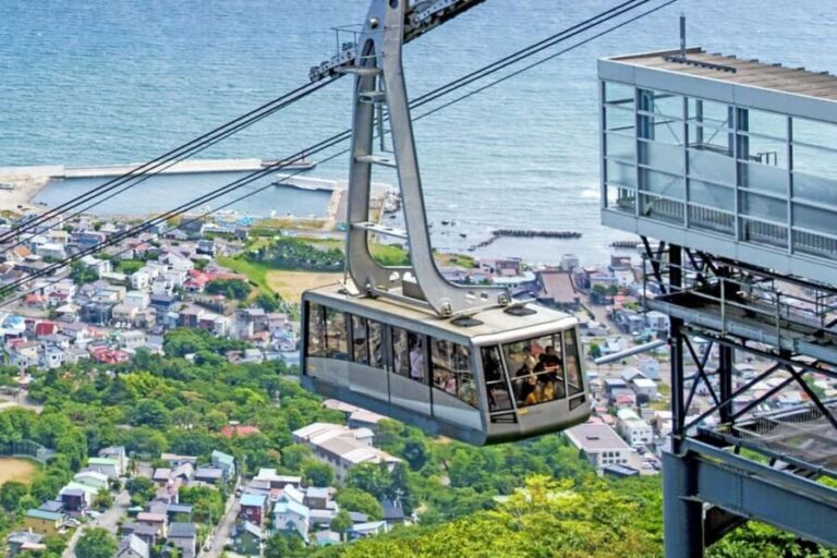Hakodate: Historic Port Walk & Mt. Hakodate Ropeway Tour - An Authentic Introduction to Hakodate
