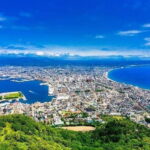 Hakodate Private Walking Tour with Government-Licensed Guide - An In-Depth Look at the Hakodate Private Walking Tour