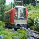 Hakone and Kamakura: 3-day Rail Pass - The Practicalities: What’s Good and What’s Not