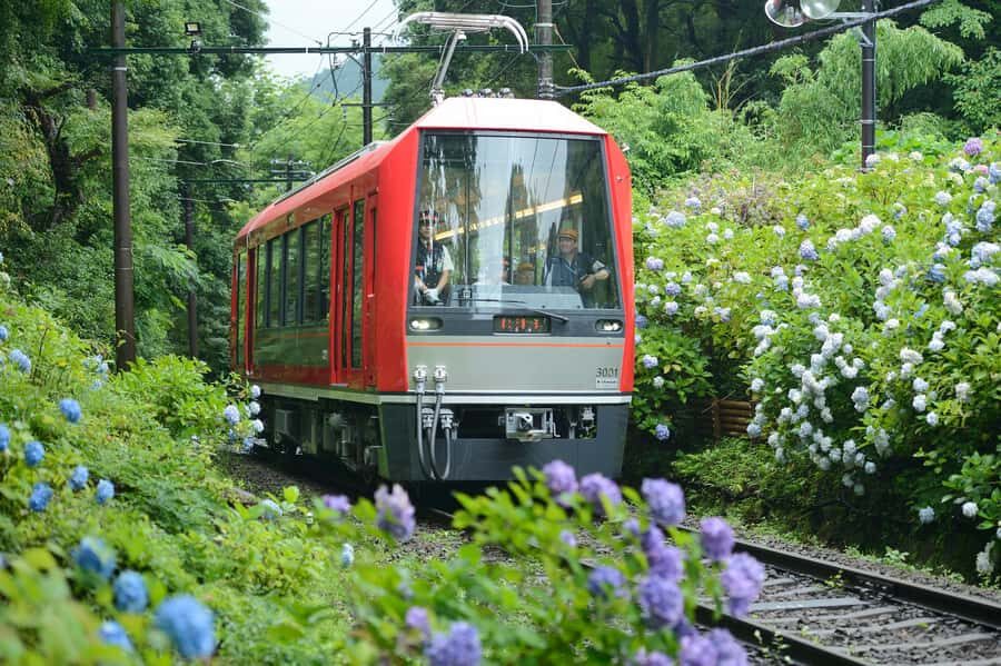 Hakone and Kamakura: 3-day Rail Pass - The Practicalities: What’s Good and What’s Not