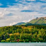 Hakone: Mt. Fuji & Izu Private Tour with Lunch & Tickets - What to Expect from This Tour