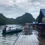 Half-day 4 Hours Kilim Mangrove Kayaking (Without hotel pickups) - Practical Tips and Considerations