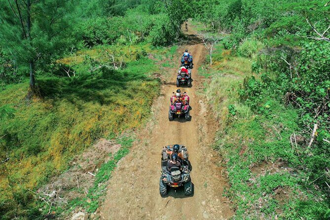 Half Day ATV or Quad Adventure in Bora Bora - What to Expect from the Itinerary