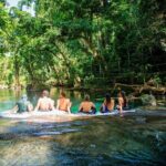 Half Day Blue Lagoon and Cascades Tours - What’s Included and How It All Works