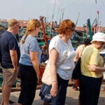 Half Day City Tour - Transportation and Guide Quality