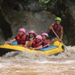 Half Day Elephant care and Whitewater Rafting Adventure - The Itinerary: What You Can Expect