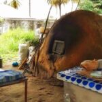 Half Day Group Tour to Tobago Atlantic Coast - Practical Aspects of the Tour