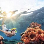 Half Day Guided Snorkeling in Negombo - What Makes This Snorkeling Tour Stand Out