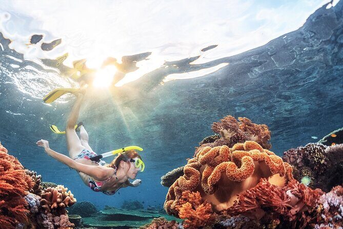 Half Day Guided Snorkeling in Negombo - What Makes This Snorkeling Tour Stand Out