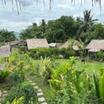 Half Day Hands On Rice Learning Experience in Luang Prabang - Why It’s a Great Value