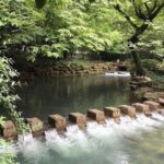 Half-Day Hangzhou Nine Creeks Hiking Tour with Tea Plantation Experience - Tea Culture at Longjing Tea Village
