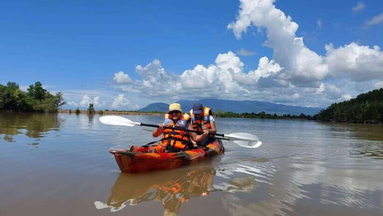 Half Day Kayak Guided Tour to the Green Mangroves Forest - What’s Included and What to Bring