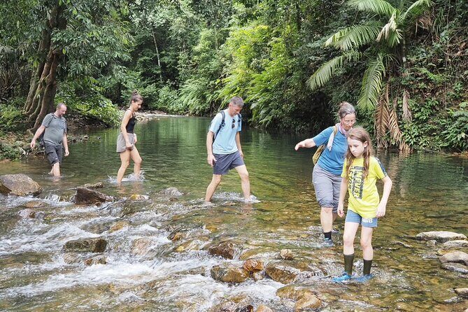 Half Day Koh Chang Jungle Trek for Families and Beginners - Why Choose This Tour?