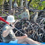 Half Day Mangrove and Lanta Old Town Tour - The Cultural Charm of Lanta Old Town