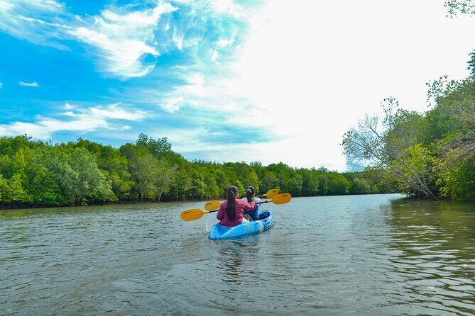 Half Day Mangrove Kayaking Adventure Tour From Koh Lanta - In-Depth Breakdown of the Itinerary