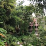 Half Day Morning Wat Pha Lat & Wat Phra That Doi Suthep Tour - Final thoughts