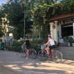 Half-Day My Son Sanctuary Bike Tour from Hoi An - The Route and What You’ll Experience