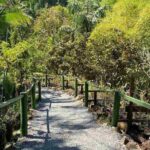 Half Day Nadi Tour Temple, Market, Gardens and Mud Pools - Practical Details and What to Expect