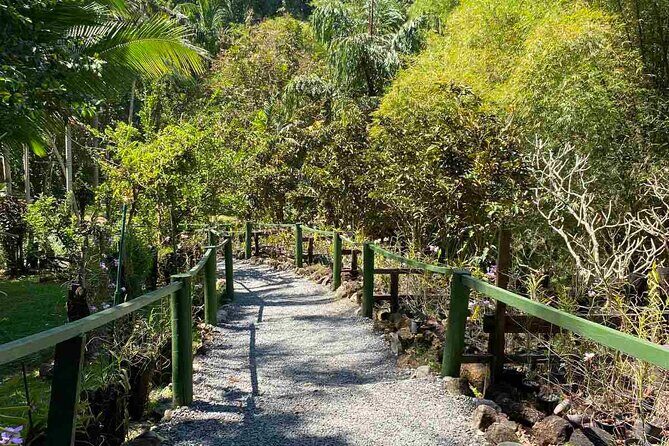 Half Day Nadi Tour Temple, Market, Gardens and Mud Pools - Practical Details and What to Expect