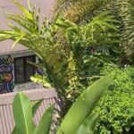 Half- Day Private Bob Marley 9 Mile and Dunns River Falls Tour - Who Is This Tour Best For?