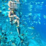 Half Day Private Snorkeling Swim With Turtles Free Gopro - Why This Tour Offers Great Value