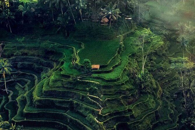 Half Day Private Tour in Ubud - Practical Details and Tips