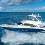 Half Day Private Yacht Charters - The Itinerary: What to Expect from Start to Finish
