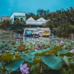 Half Day - Saigons Last Mekong Countryside - Cycling Tour - The Value of the Tour