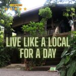 Half-Day Siem Reap: Floating Village & Cooking Tour - The Itinerary: What You’ll Experience