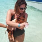 HALF DAY Swiming Pigs and Sharks Tour (Nassau to Exuma by Plane) - What Value Does This Tour Offer?