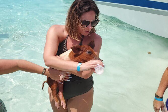 HALF DAY Swiming Pigs and Sharks Tour (Nassau to Exuma by Plane) - What Value Does This Tour Offer?