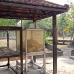 Half Day To Killing Field & S21 Genocidal Museum - Who Will Love This Tour?