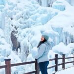 Half Day Tour to Eobi Ice Valley and Nami Island - Why This Tour Offers Great Value