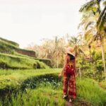 Half Day Tour Ubud Rice Terrace with Activities and Waterfall - Who Should Consider This Tour?