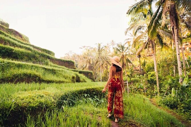 Half Day Tour Ubud Rice Terrace with Activities and Waterfall - Who Should Consider This Tour?