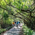 Halong Lan Ha Bay 2D1N by Sea Coral Cruise from Tuan Chau Port - Detailed Breakdown of the Itinerary