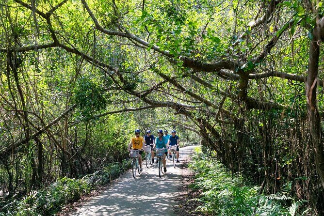 Halong Lan Ha Bay 2D1N by Sea Coral Cruise from Tuan Chau Port - Detailed Breakdown of the Itinerary