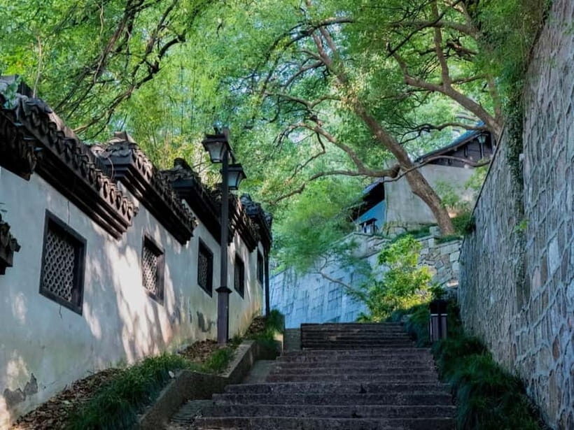 Hangzhou Insider Mini-Hike: TCM, Hill Views and Wet Market - Practical Details and Value
