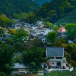 Hangzhou: Longjing Village Tea Picking and Tasting Tour - The Practical Side: Price, Duration, and What to Prepare