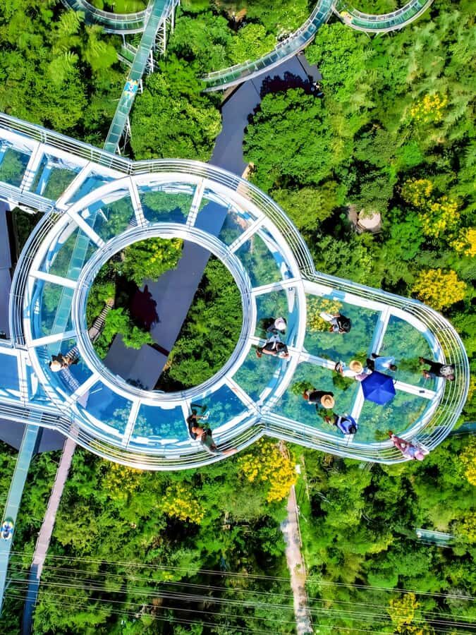 Hangzhou to OMG Park: Private Ride, Drift & Cave Tour - Who Should Consider This Tour?