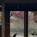 Hangzhous Urban Oasis: Poetic Xixi Wetland Half-Day Tour - What to Expect from the Tour