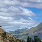 Hanmer Springs Hot Pool private day trip From Christchurch - Thrill at Thrillseekers Canyon: The Jet Boat Ride