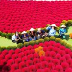 Hanoi Combo: City Sights, Incense Village, Train Street & Lunch - Analyzing the Value and Practicalities